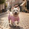 Anti-Mosquito Dog Cooling Clothes Hollow Mesh Dog Sun-proof Jumpsuit  Outdoor Walking