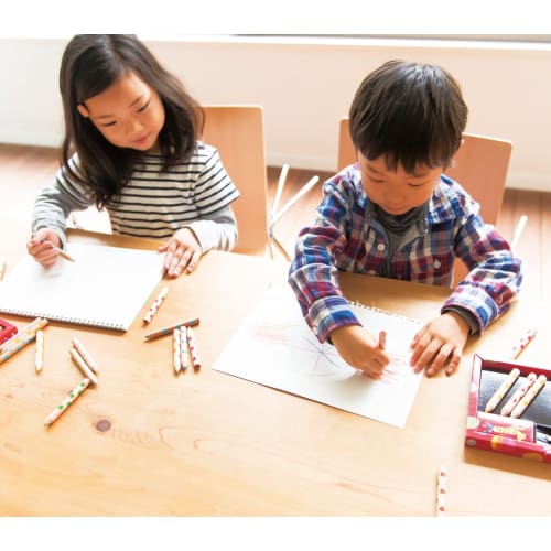 KOKUYO Цветные карандаши Разноцветные карандаши 20 штук KE-AC2