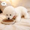 33/40 см Мультяшная плюшевая кукла-подушка лежащая собака Милый Бишон Колли Сиба-ину Животное Набивная игрушка Декор для дома Подарок для детей