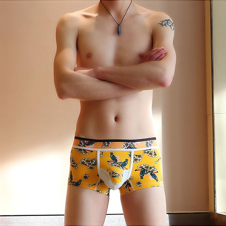 Мужская эротическая одежда Сексуальные трусики с низкой посадкой Трусы Сексуальное женское белье Хлопковые трусы Дышащие мягкие