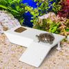 Feeding Table Versatile Aquatic Turtle Basking And Climbing Natural Habitat Aquarium Accessory