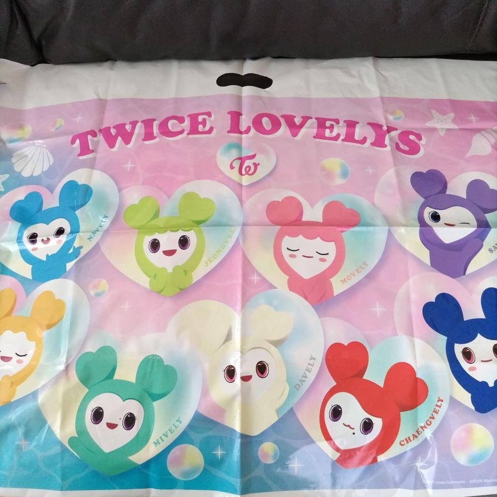 [Б/У] Мягкие плюшевые тапочки TWICE LOVELYS Chaeyoung с шоппером