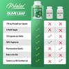 Pslalac Olive Leaf Dietary Supplement, containing 730mg of high-content olive leaf extract, for daily immune nutrition.