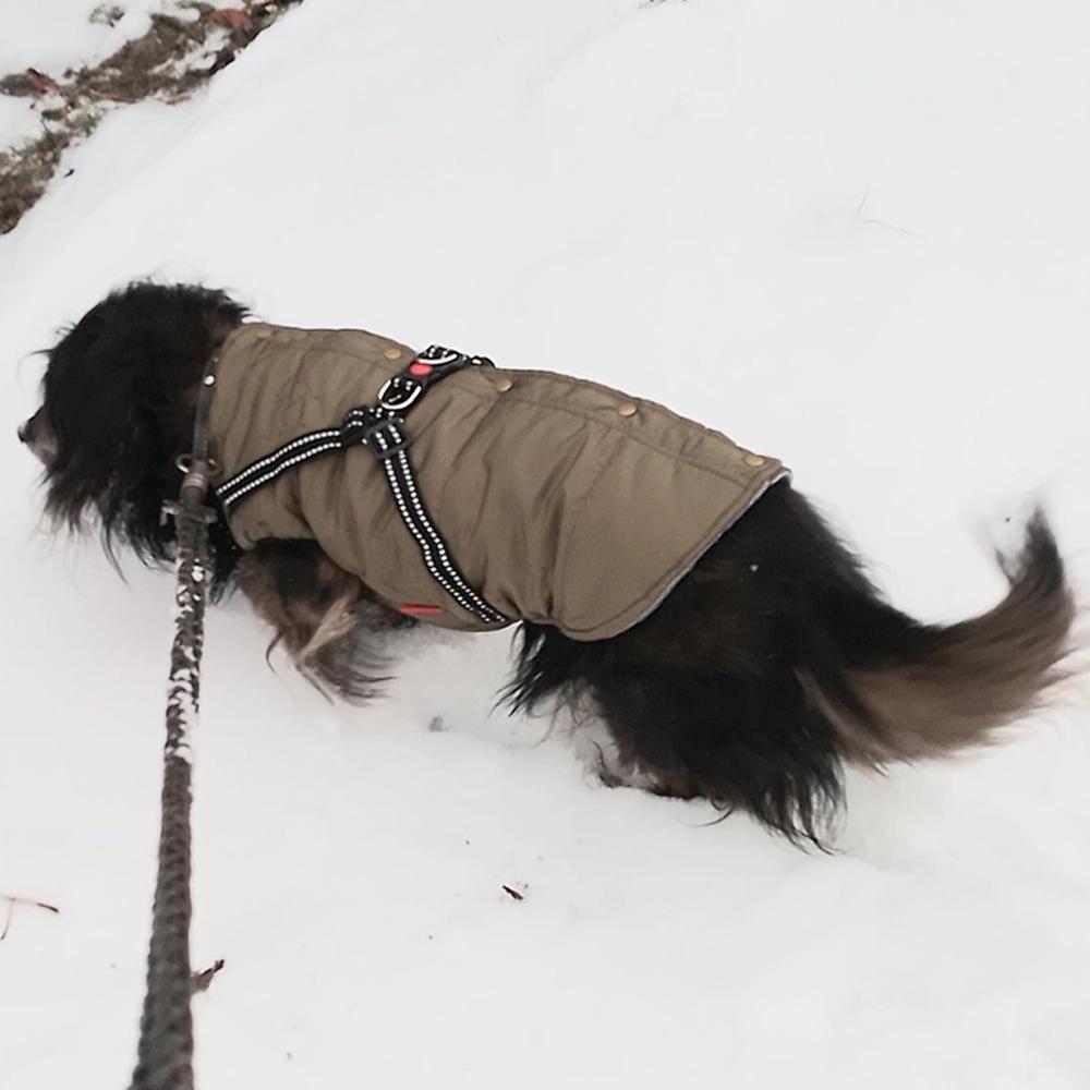 Водонепроницаемая одежда для собак, зимняя теплая одежда для маленьких и средних собак, светоотражающее пальто для щенков, куртка с регулируемой шлейкой, одежда для чихуахуа