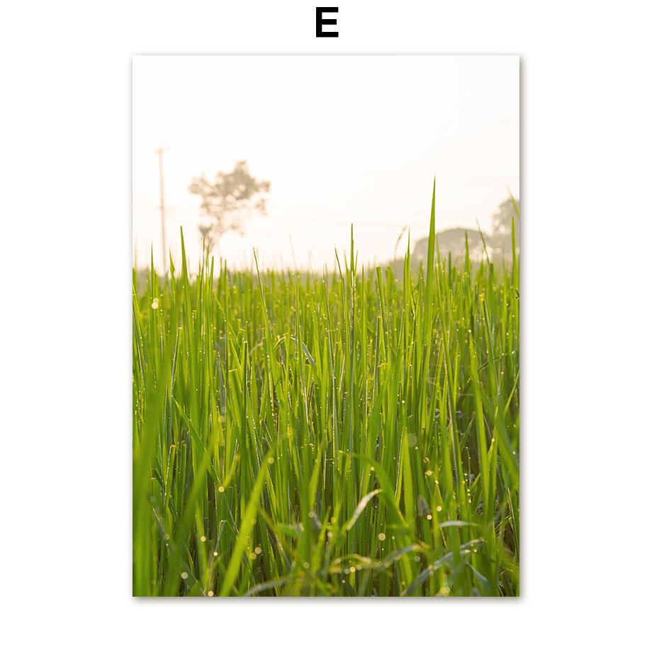 Дейзи трава девушка цветок овца ферма цитаты настенная живопись на холсте плакаты на скандинавскую тему и принты настенные панно для декора гостиной