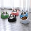 Stainless Steel Cat Bowl and Dog Bowl Double Bowl Protection Cervical Cat Bowl Slant Mouth Hot Selling Pet Food Bowl Supplies