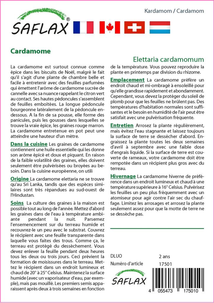 SAFLAX Garden in the Bag - Кардамон - 20 семян - С субстратом в подходящем пакете - Elettaria cardamomum