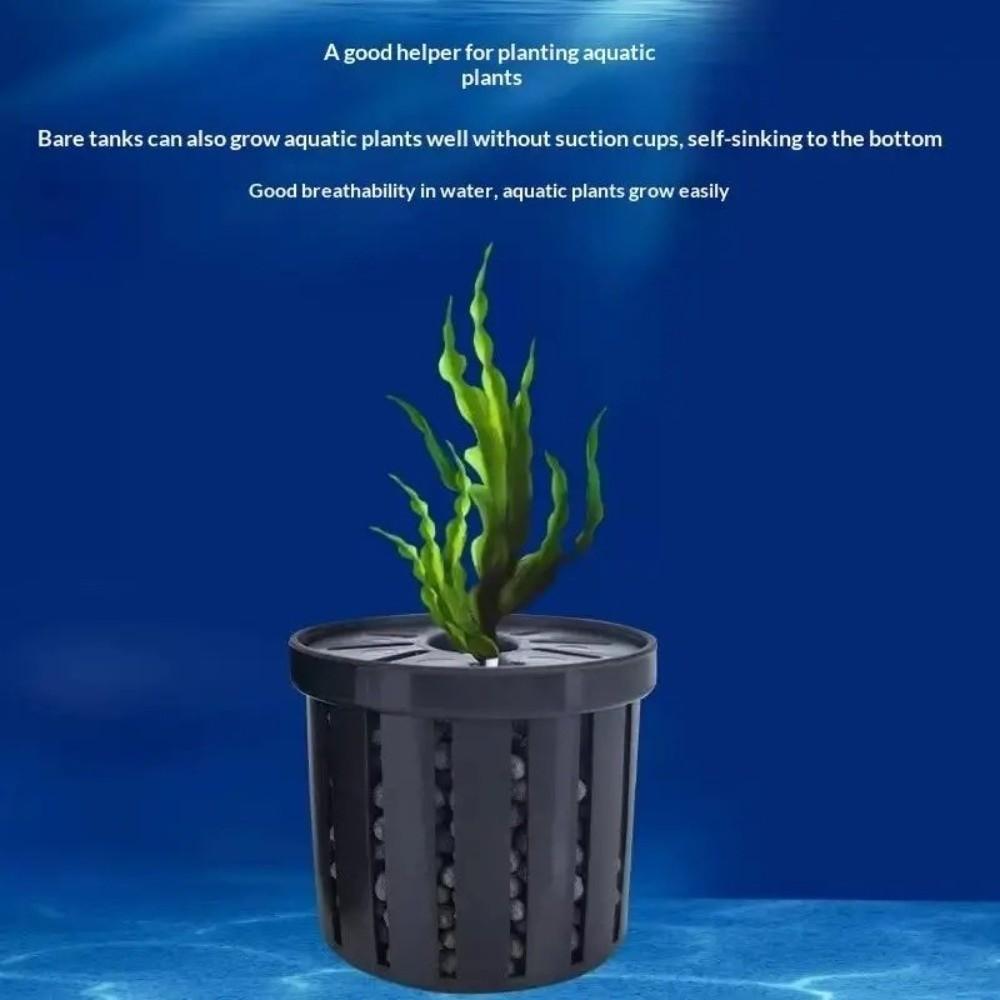 Glass Pot Fish Tank Hydroponic Planting Basket for Tanks Aquascape Decorations