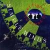 CD SIMPLE MINDS  Street Fighting Years MINDSCD1 Virgin 1989 Европа Рок Б/у