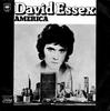 7-дюймовая пластинка DAVID ESSEX  America CBS2176 CBS 1974 Франция Рок Б/у