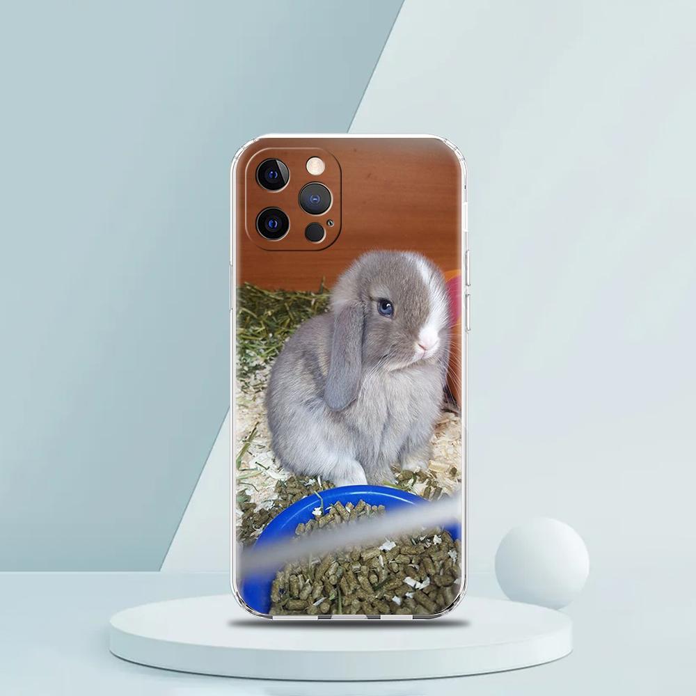 Cute White Baby Rabbits Luxury Phone Case For iPhone 16 15 14 13 12 11 Pro Max XS X XR SE 7 8 Plus soft Silicone Clear Cover