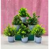 Plastic 6 Packs Fake Plants Small,Mini Artificial Plants Indoor For Home Farmhouse Bathroom Shelf Décor(Height : 17Cm,Blue)