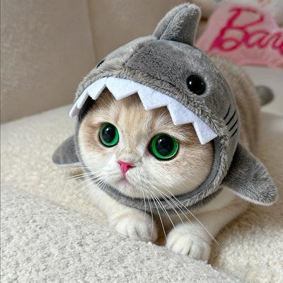 Товары в наличииМаленькая красная шапочка Тот же стиль Шапка с головой акулы для питомца кошки Зимняя теплая плюшевая шапка для котенка Головной убор