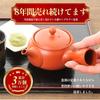 Tokoname-yaki Kyusu (Japanese Teapot) Made in Japan [ Easy to clean / Includes stainless steel tea s