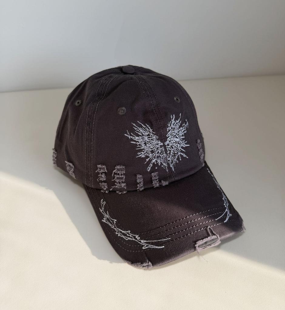 Street new wing embroidery baseball cap women's big head circumference showing face small versatile niche cap men
