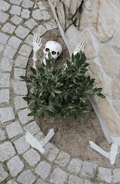 Decoration Skeleton Bones Skull Hands Legs 5 Pcs