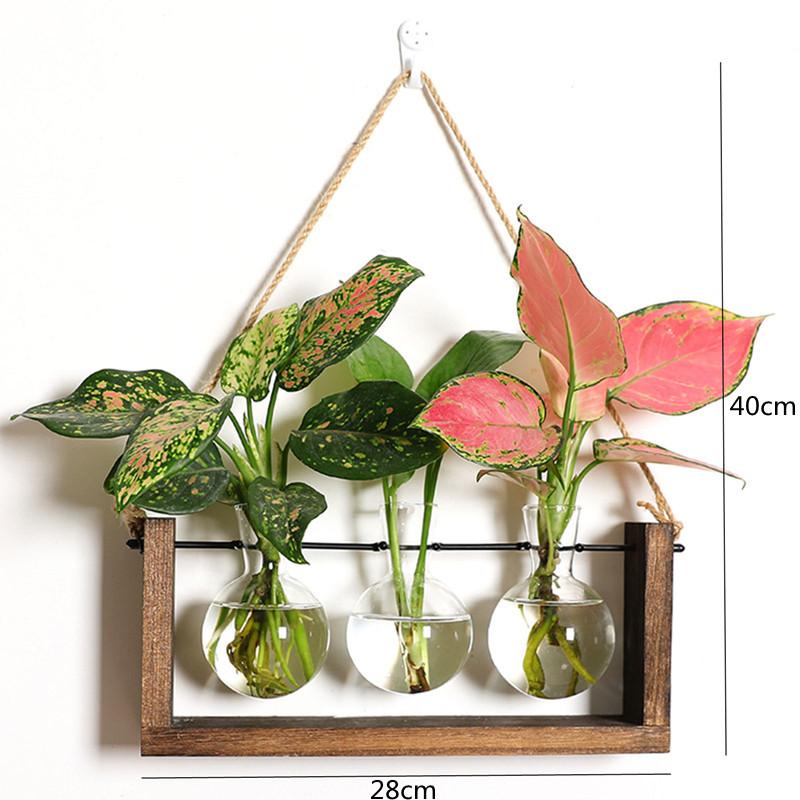 Гидропонные растения Контейнер для растений Стеклянные пробирки Террариумы Ваза на деревянной подставке Цветочные горшки Гидропонные растения Ваза для пробирок