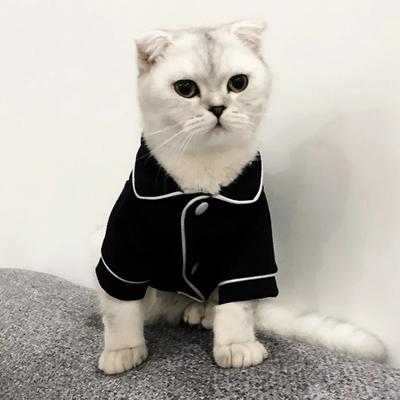 Рождественский костюм кошки для питомца, одежда для кошек, зимняя толстовка с капюшоном, костюм, одежда