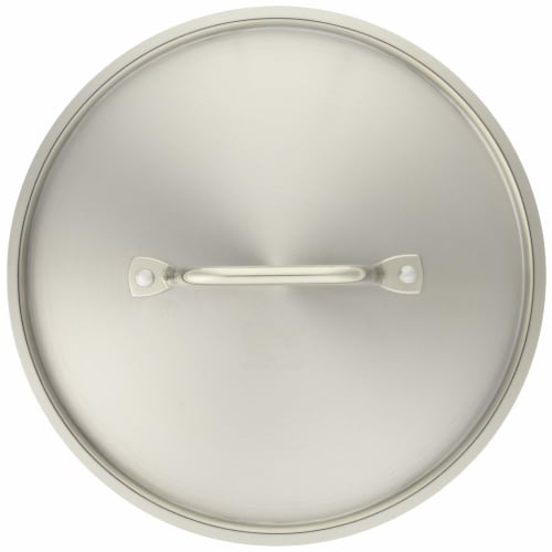 Endo Shoji TKG PRO Series 24cm Pot Lid, Durable and Rust-Resistant Stainless Steel, Outer Diameter: 255mm, Weight: 0.45kg, Professional Use, ANB2424