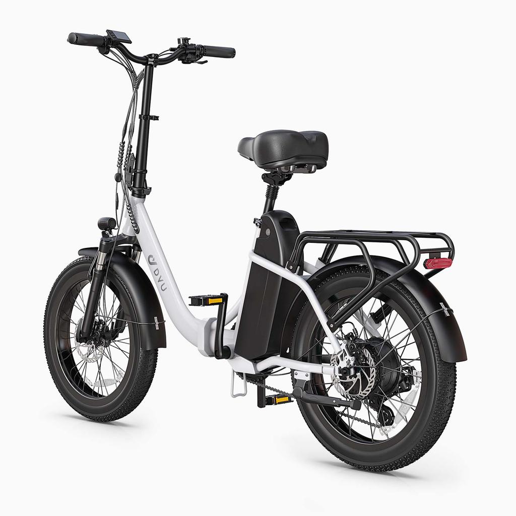 DYU C9 20"Home Multi-functional Folding Electric bike with Fat Tire,250W,removable battery,front and rear dual disc brakes,assisted range up to 95km.