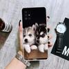 Чехол для телефона с собакой сибирского хаски для Samsung Galaxy A12 A22 A32 A42 A52 A72 A51 A71 5G A41 A31 A21 A02S M12 M21 M31 M30S Fundas