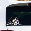 Peeking Skeleton Car Decal Водонепроницаемые наклейки на Хэллоуин со скелетом Реалистичные наклейки с изображением черепа ужасов Готическое украшение для автомобиля для путешествий