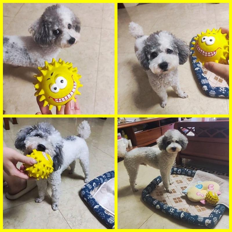 Dog Toy Cute Squeaky Pet Dog Interactive Chew Toy Puppy Bite Resistant Thorn Tooth Cleaning Toy Molar Chew Toys for Dog Supplies