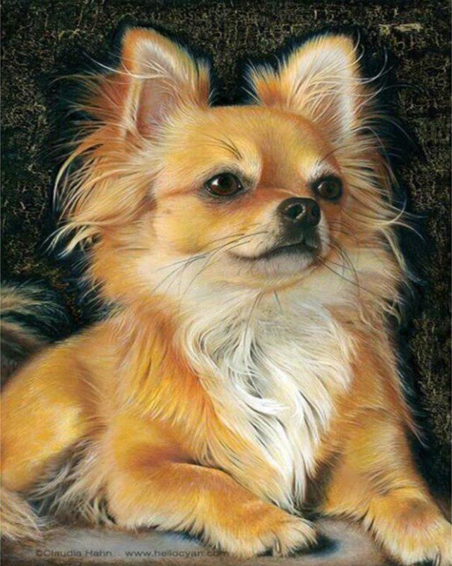 5d алмазная живопись Blackwing Demon женщина Алмазная вышивка маленькие черепахи животные фотографии из стразов мозаика домашний декор