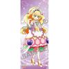 Вкусная вечеринка PreCure Tapestry Cure Finale в натуральную величину