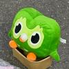 Новая милая зеленая плюшевая игрушка Duolingo Duo Сова Мультяшная Аниме Плюшевая Игрушка Мягкая Набивная Животная Кукла Подарок на День Рождения для Детей Обнимательная Пушистая Милая
