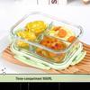 ZISIZ Glass Partitioned Lunch Box Set