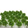 Green Cherry Palm Pine Forest N Architectural Tree 30 Pieces [DauStage] Blossom, Bamboo, Tree, Willow, Model, Gauge, Diorama, Railway, Miniature, 01.