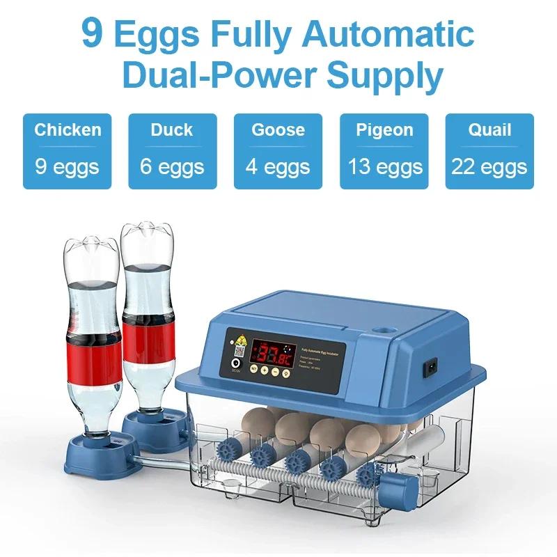 Автоматический инкубатор для яиц, брудер 110 В, 220 В, с вилкой питания, двойной воздуховод, циркуляция теплого воздуха, интеллектуальная внутренняя инкубация яиц