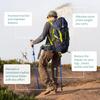 5-секционная портативная складная треккинговая палка для ходьбы, телескопическая клюшка для скандинавских пожилых людей, кемпинга, прогулочных палок