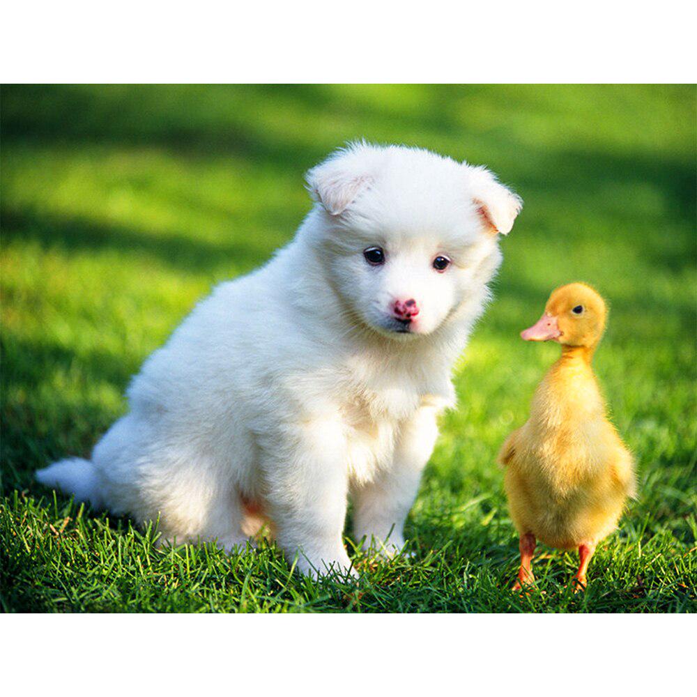 5D DIY Алмазная картина Мозаика "Собака и утка" Алмазная вышивка со стразами Крест Стежок