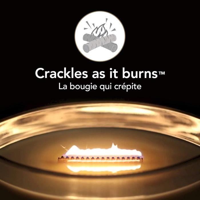 WoodWick Ellipse ароматическая свеча с потрескивающим деревянным фитилем | Лаванда и Кедр