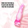 Color Silicone Dildo Liquid Multi-layer Color Transparent Crystal Simulation Penis Adult Products