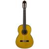 Yamaha Transacoustic Guitar Classical Guitar CG-TA