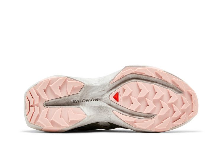 Мужские кроссовки Salomon XT PU.RE Advanced 'Fallen Rock'
