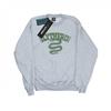 Mens Slytherin Sport Emblem Sweatshirt