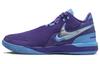 Zoom LeBron Nxxt Gen Ampd Ep 'Summit Lake Hornets' FJ1567-500