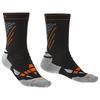 Bridgedale Socks Nordic Race Merino Performance