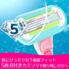 Сменные лезвия для бритвы Gillette Venus Embrace 4 штуки x 2 набора [Оптовая покупка] Женские