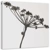 Canvas Print Plant Black & White