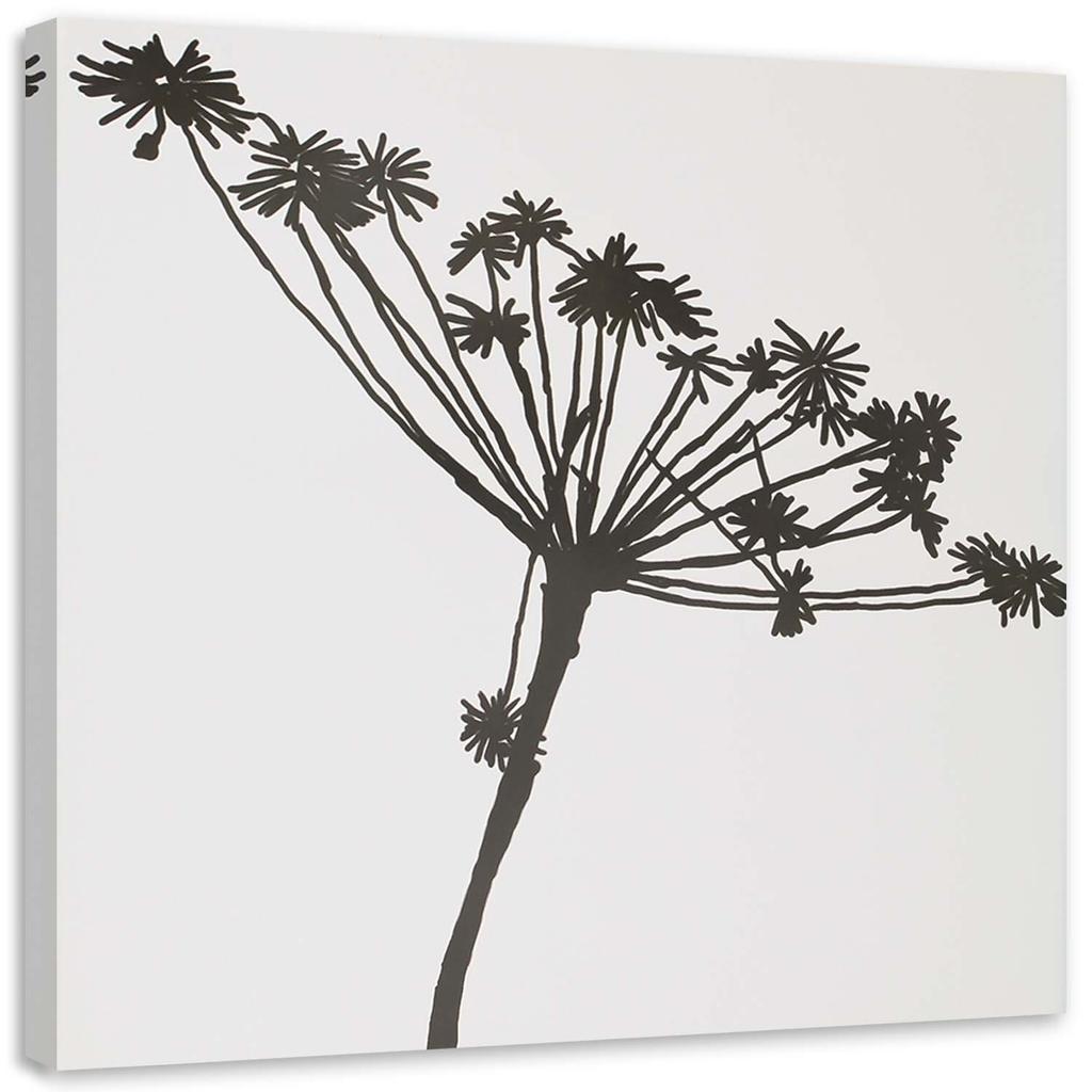 Canvas Print Plant Black & White