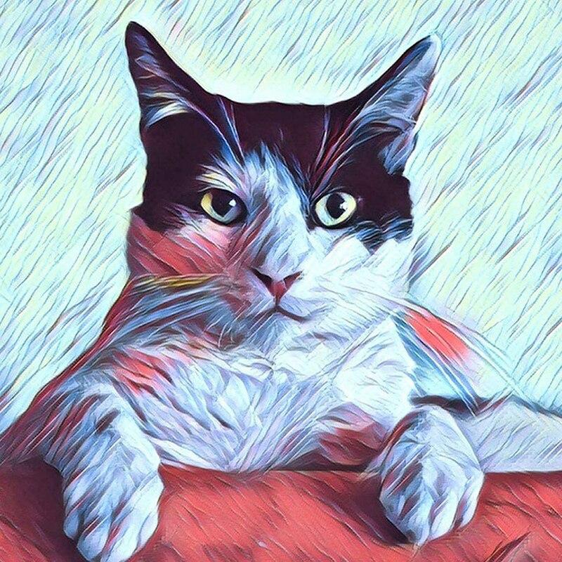 Новый 5D DIY алмазная живопись животные стразы вышивка кошка вышивка крестом полная круглая дрель ручной работы искусство домашний декор подарок