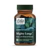 Gaia Herbs Mighty Lungs - Lung Support Supplement To Help Maintain Overall Lung - Plantain, Schisandra & Elecampane - 60 Vegan Liquid Phyto-Capsules