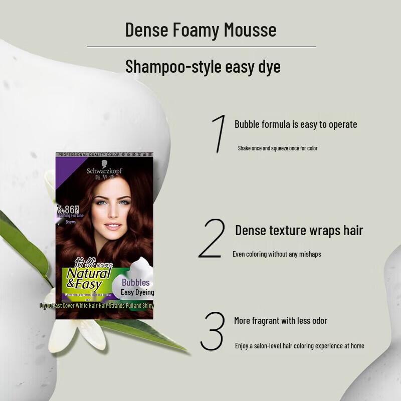 Schwarzkopf Igora Mousse Hair Dye