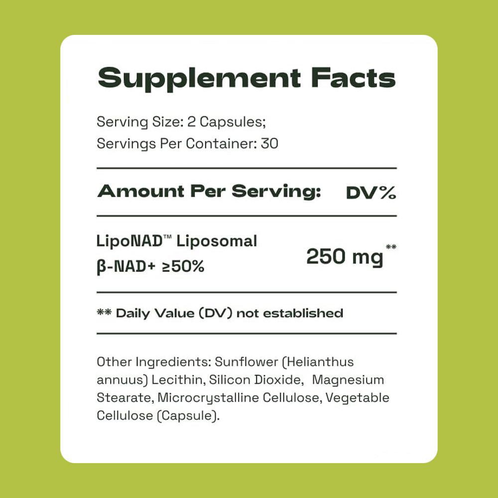 CataKor NAD+ Core — Liposomal NAD+ 250mg, 60 Vegetable Capsules, Supports NAD+ Levels and Healthy Aging
