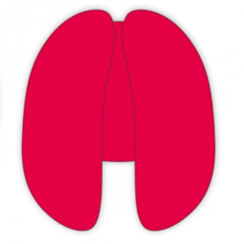 Юци   Гиги Кушон   1-й Сингл Альбом Pop Up Md